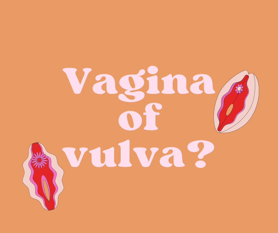 vagina of vulva