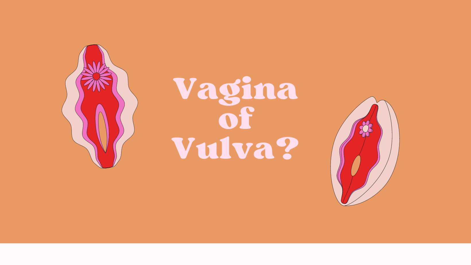 Vulva of Vagina, wat is het verschil? - V-Klinieken